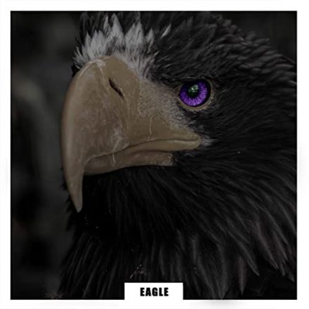 BYAS Eagle