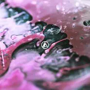 Linkin Park-The Emptiness Machine