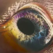 Arcade Fire-WE