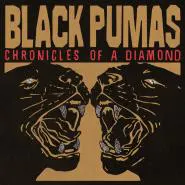 Black Pumas-Chronicles Of A Diamond
