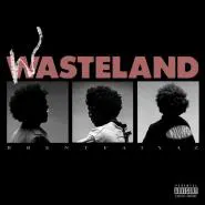 Brent Faiyaz-WASTELAND