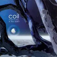 Coil-Musick To Play In The Dark2