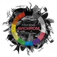 Dominik Eulberg-Avichrom