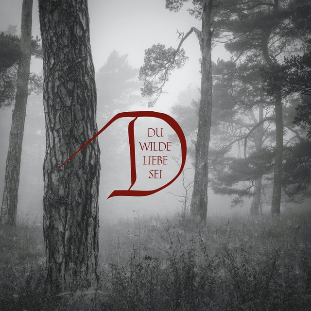 Dornenreich – Du wilde Liebe sei