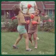 Elbow-Flying Dream 1