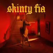 Fontaines D.C.-Skinty Fia