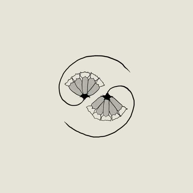 Godspeed You! Black Emperor – G_d’s Pee AT STATE’S END!