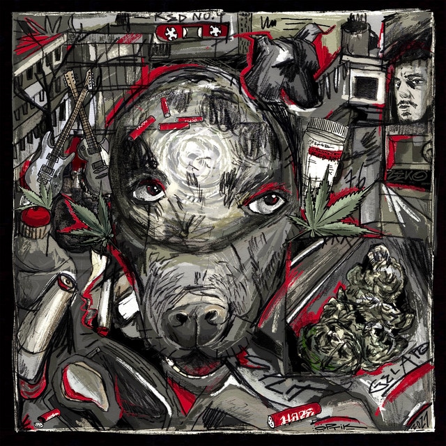 Haze – TagMond