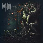 IOTUNN-Kinship