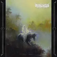 Mental Cruelty-Zwielicht