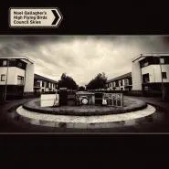 Noel Gallagher's High Flying Birds-Council Skies