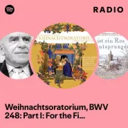 Philippe Herreweghe, Collegium Vocale Gent-J.S. Bach: Weihnachts-Oratorium - BWV 248 (Live)