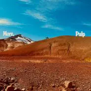 Pulp-More