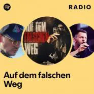 SIL3A-Auf dem falschen Weg - EP