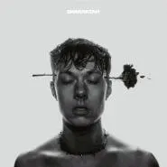 Sharaktah-Blumen wachsen durch Beton