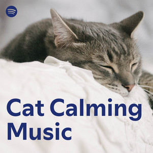 Torsten Abrolat – Musik für Katzen: Beruhigende Musik & Klänge für die Katze zum Entspannen und Schlafen (spezielle Katzenwohlfühl-Frequenzen)