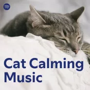 Torsten Abrolat-Musik für Katzen: Beruhigende Musik & Klänge für die Katze zum Entspannen und Schlafen (spezielle Katzenwohlfühl-Frequenzen)