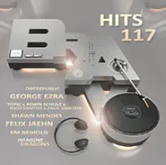 Various Artists-Bravo Hits, Vol. 117