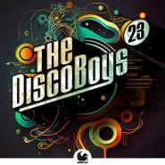Various Artists-The Disco Boys Vol.23
