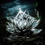 We Came As Romans-Darkbloom