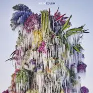 Wilco-Cousin