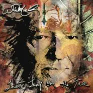 Willie Nelson-Last Leaf On The Tree