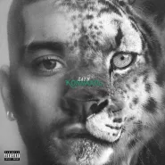ZAYN-KONNAKOL