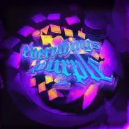 t-low-EVERYTHINGS PURPLE 2