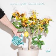 3Plusss-weine jetzt, lache später