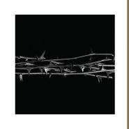 Amenra-De Doorn
