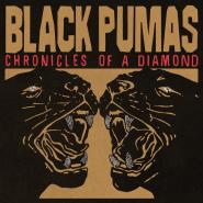 Black Pumas-Chronicles Of A Diamond