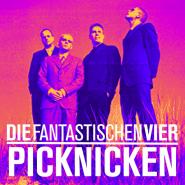 Die Fantastischen Vier-Picknicken