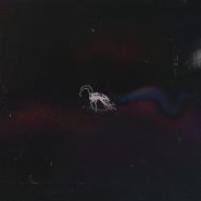 Dissy-Bugtape