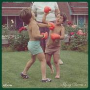 Elbow-Flying Dream 1