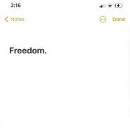 Justin Bieber-Freedom.