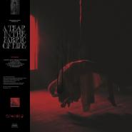 Knocked Loose-A Tear In The Fabric Of Life