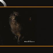Lambchop-Showtunes