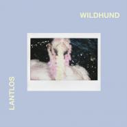 Lantlôs-Wildhund