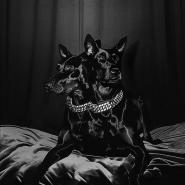 NTO & Sofiane Pamart-FOREVER FRIENDS