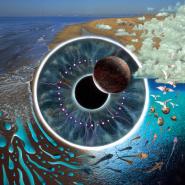 Pink Floyd-Pulse