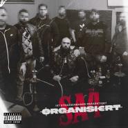 Sa4-Organisiert