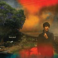 Sharon Van Etten-We've Been Going About This All Wrong