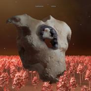 Soap&Skin-TORSO