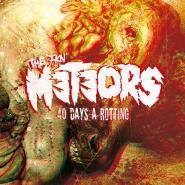 The Meteors-40 Days A Rotting