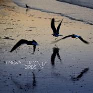 Tingvall Trio-Birds