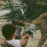 Unknown Mortal Orchestra-V