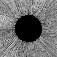 Vola-Witness