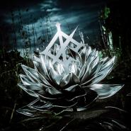 We Came As Romans-Darkbloom