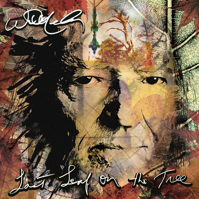 Willie Nelson – Last Leaf On The Tree