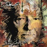 Willie Nelson-Last Leaf On The Tree